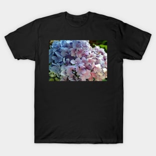 Hydrangea T-Shirt